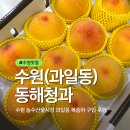 동해시-24 | 수원 농수산물시장 과일동 24호 동해청과 말랑이 복숭아 &amp; 황도구입 후기 및 복숭아 고르는 법
