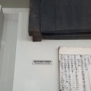 첨모당 이미지