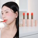 11545-05-01-23 | 올리브영 립밤 추천 에스티 로더 젤리밤 컬러 립밤 3종 발색 후기