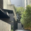 [서울/강남] 벽제갈비 더청담 | 부모님 생신 가족모임 꽃뼈생갈비 후기