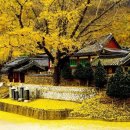 남원향교 대성전 이미지