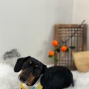 몽이미용실 이미지