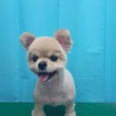 엉클장동물병원 이미지