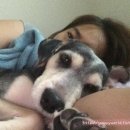 하노바동물병원 이미지