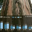 키즈월드팡팡 이미지
