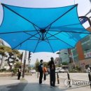 그늘막43 이미지