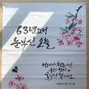 엄마 생신선물 단혜감성현수막 서프라이즈 대성공 리얼후기