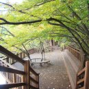 26년 20차 정기산행/ 괴산 산막이 옛길(26년 5월 29일 금요일 7시) 이미지
