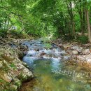 해솔목장 | 강원도 캠핑장 계곡에서 물놀이하고 송어잡기, 팸투어까지 용골 최고