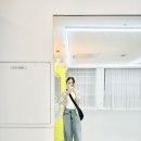 레몬발레 네이버블로그