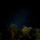 별을 담은 숲 이미지