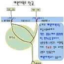 예원예술대학교 [ Yewon Arts University ] 이미지