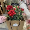 김포웰의원 이미지