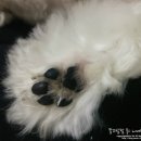 몽테크 이미지