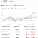 IGV 비슷한 것 찾다가 SOL미국AI소프트웨어 ETF 이미지