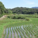 오대농장 이미지