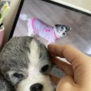 씨씨크래프트