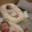 연년생vs쌍둥이 (5) 쌍둥이 육아가 힘든 이유