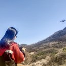 단양국유림관리소 이미지