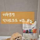 장군소프트 | 닥터소프트 NEW 라인업 출시 더 부드러워진 비프 소프트 사료 급여 후기