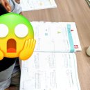 1444 | 수완동 1444 꽃잎처럼 피어난 아이의 수학