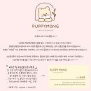 퍼피몽(애견분양) | 성동구 퍼피몽애견분양 미니말티즈책임분양 : 트로이