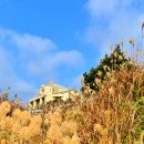 서부해안로 이미지