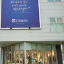 루트 231 이미지
