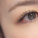 다온래쉬 이미지