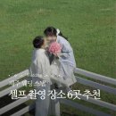 제주벌초 | [공지] 제주 웨딩 스냅 성공한 후기와 함께 셀프 촬영 장소 6곳 좌표 찍어드림!