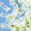 광교미소모아내과의원 이미지