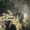 자양경희한의원 이미지