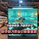 아쿠아가든카페 양재점 | 경기도 아이와 갈만한곳 신비동물원, 아쿠아가든 물고기카페 솔직후기