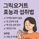 요거트의하루 티스토리