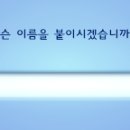 앨리스&고양이발톱