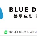 블루드릴집수리 네이버블로그