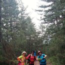 용산-377 이미지