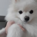 서림동물병원 이미지