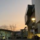 파동사랑약국 | 사랑 되찾기(부제: 고요와 파동 라이즈 전시회)