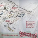 대화파크 | 홍천 비발디파크 관광 곤돌라 후기 | 스키장 전망부터 테라로사디판테온 카페 추천코스