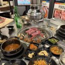 꼬리 노래연습장 이미지