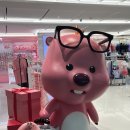 다녀온 필리핀 보홀 #1 (몰리리조트, 더네일, 몬스터크랩 솔직후기, 원클릭 투어, 일정표, 맛집리스트...
