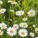 프롬디(FROM:D) 이미지