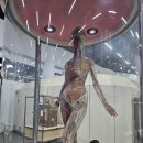 우주 남산점 | 서울 남산과학체험관 후기! 아이와 함께 서울 실내 나들이로 추천 드려요!