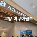 고양 스타필드 아쿠아필드 토요일에 다녀온 후기