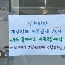 당케마마
