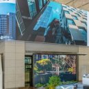 김박사카 이미지