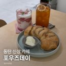 보고보고안경원 | 동탄 카페 포우즈데이 애견동반 카페