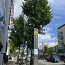 탑지압테라피안마원 | 부산 광안리 마사지 탑지압테라피안마원 정부지원 바우처로 4200원에 안마받기 추천후기