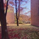 아이코리아새세대유치원 이미지